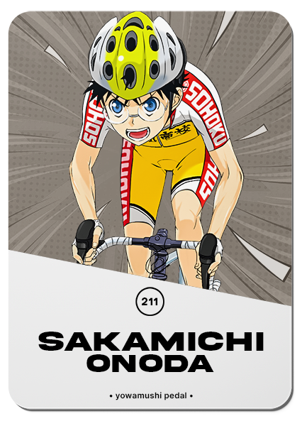 211/ SAKAMICHI ONODA